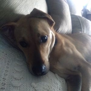 Meet your Posher, Blake